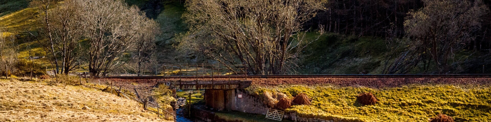 Un puente sobre un arroyo en una zona montañosa con árboles y campos cubiertos de hierba.