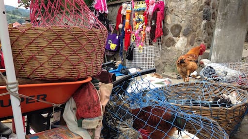 After our first ever chicken bus ride (which is an adventure in of itself) we arrived in Chi-Chi, the biggest market in Central America. Sensory overload. There is so much to see here!! Just make sure you haggle!!!
#Guatemala #market #chichi