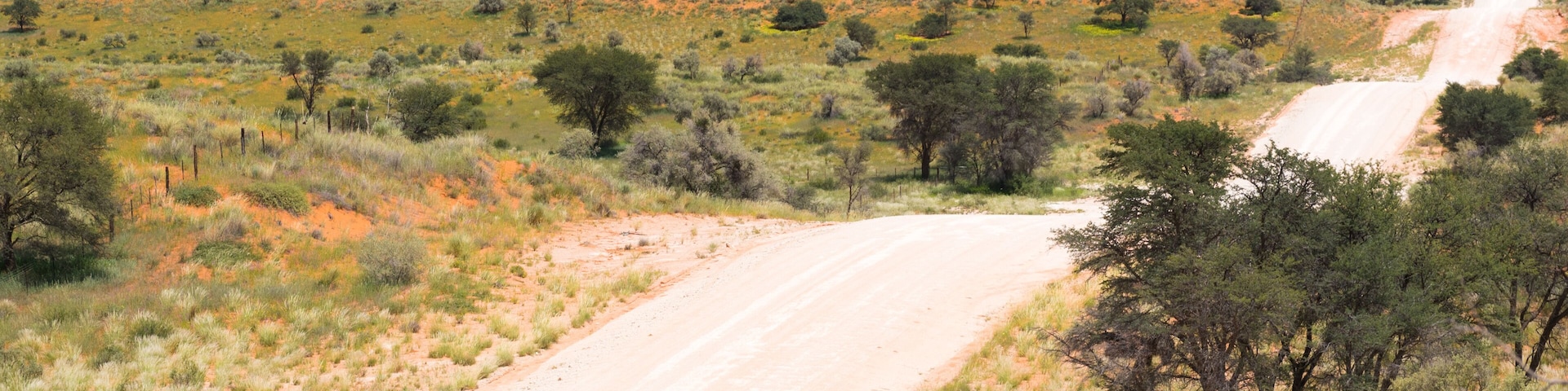A dirt road winding through a semi-arid landscape with sparse vegetation and distant hills.