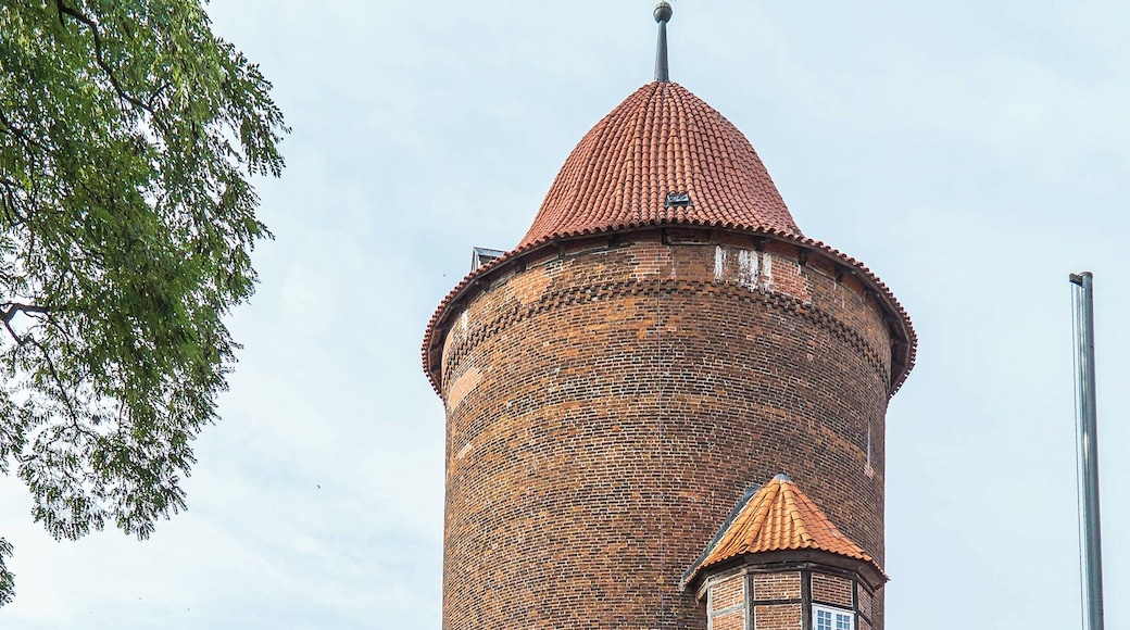 Waldemarturm in Danneberg