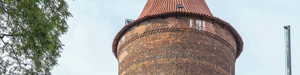 Waldemarturm in Danneberg