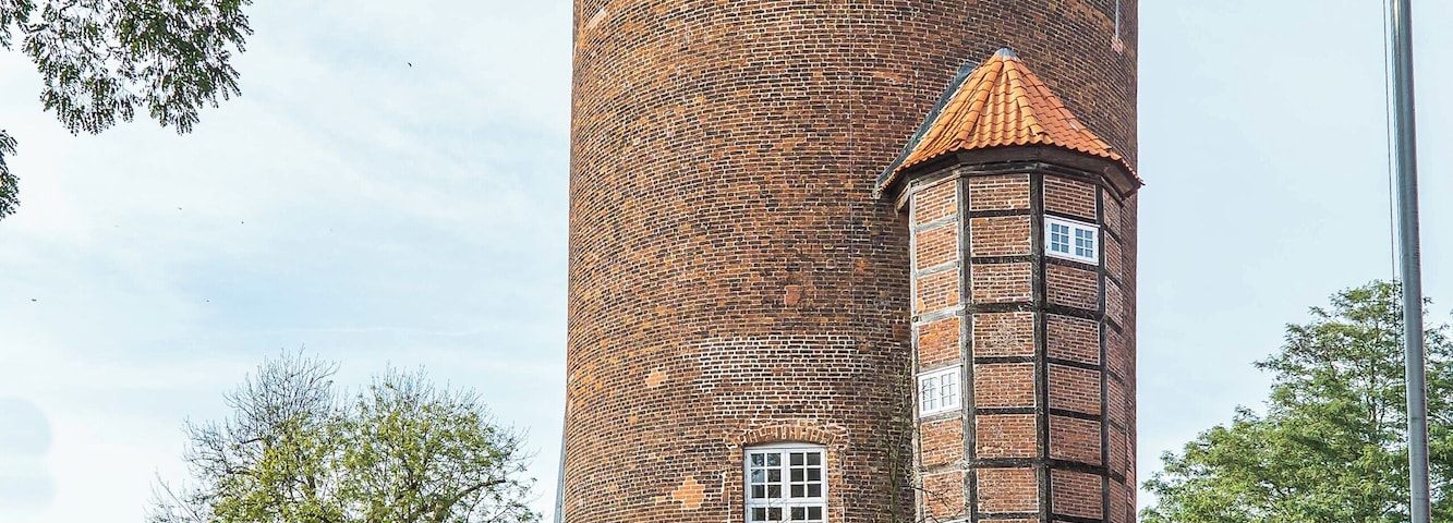 Waldemarturm in Danneberg