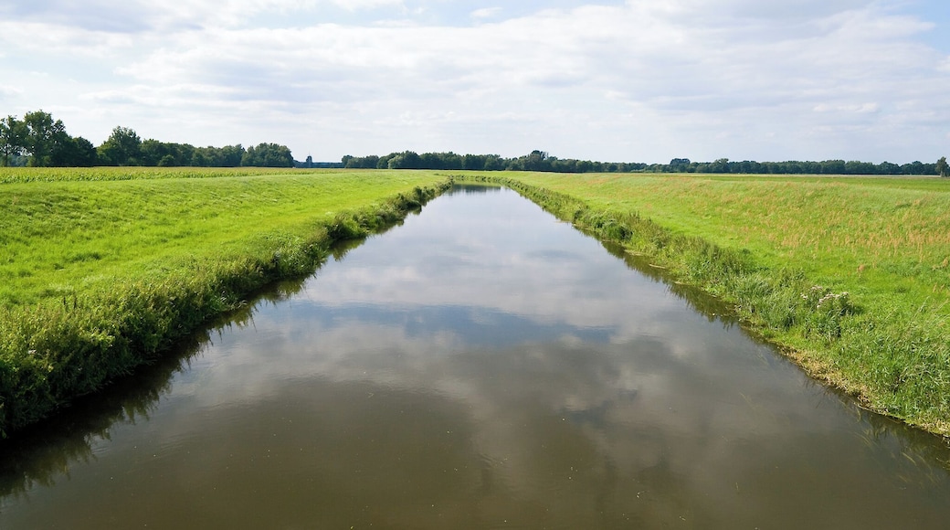 Jeetzel River near Gross Heide in the district Luechow-Dannenberg in Lower Saxony, Germany.