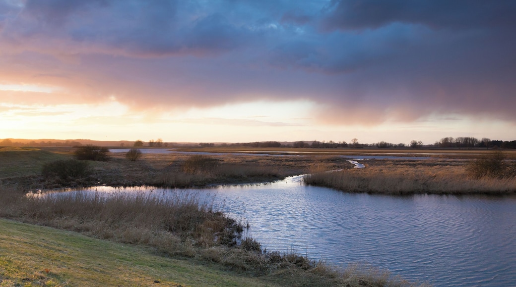 Taube Elbe bei Penkefitz mit Blick nach Westen