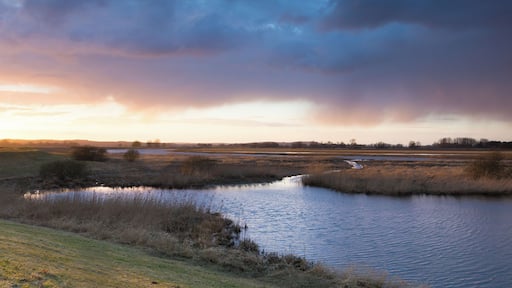 Taube Elbe bei Penkefitz mit Blick nach Westen