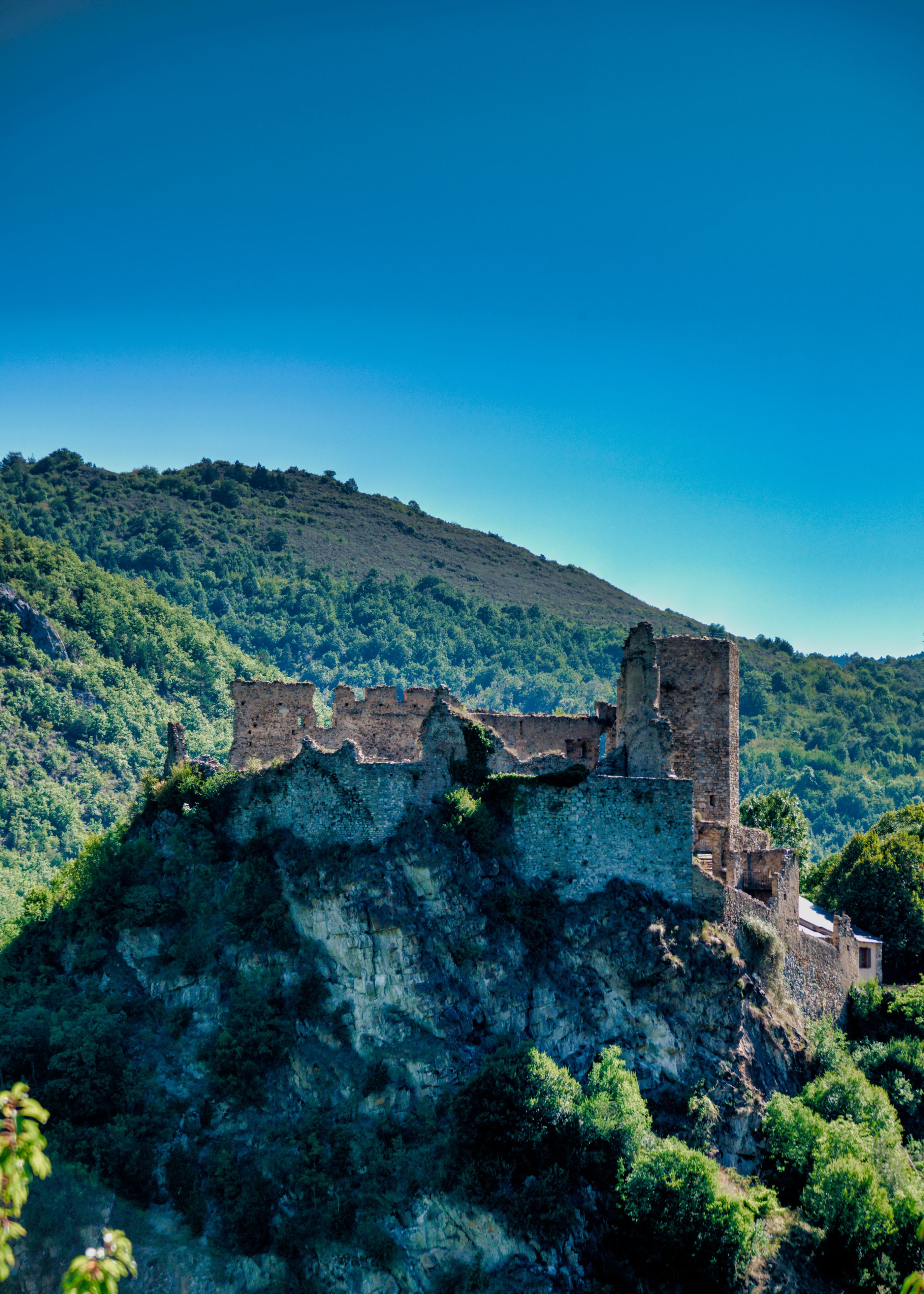 Une forteresse de pierre d’époque, perchée sur une colline, avec une végétation luxuriante en arrière-plan.