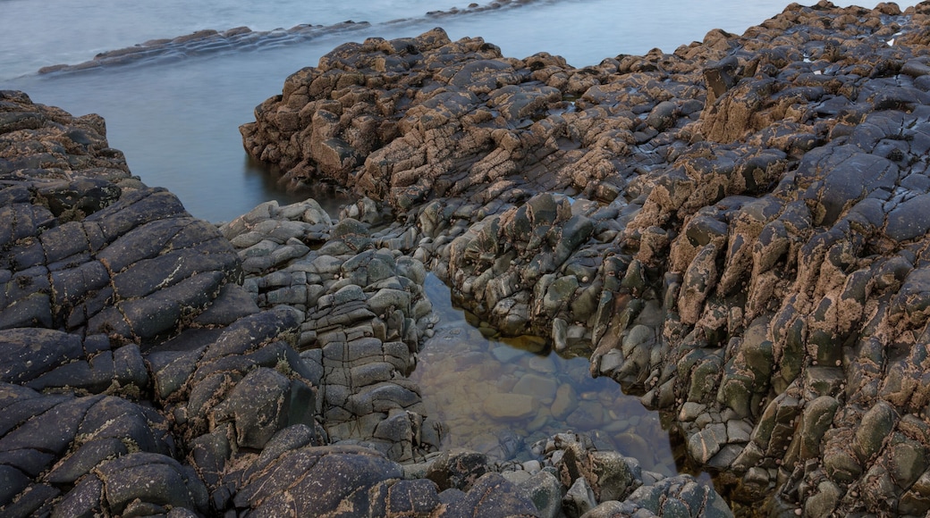 Kilbaha Bay, Shannon Estuary, County Clare, Munster, Republic of Ireland