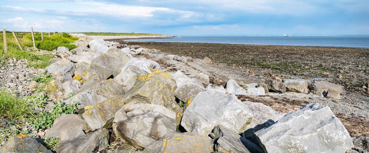 A rocky shoreline with large boulders and sparse vegetation.