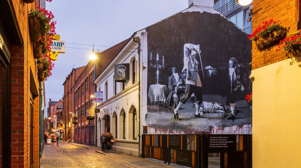 Cathedral Quarter featuring outdoor art and night scenes