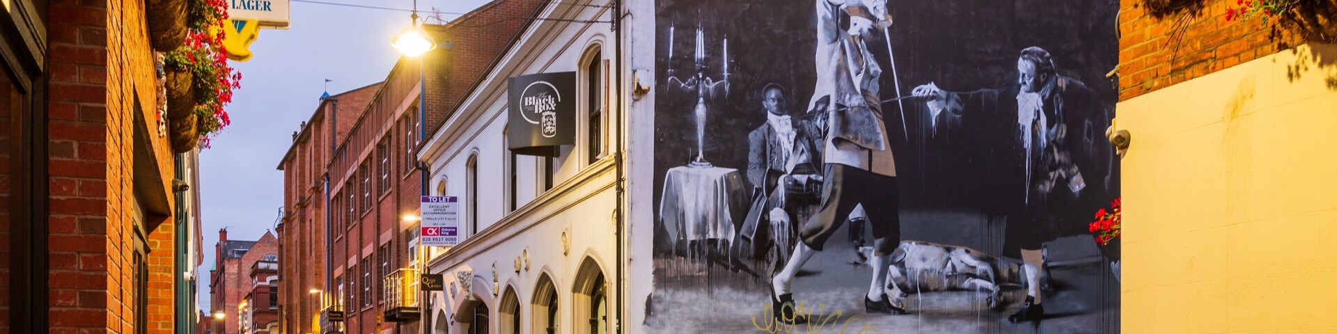 Cathedral Quarter featuring outdoor art and night scenes