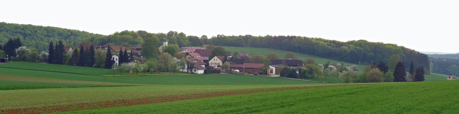Altenberg near Denkendorf seen from NE.