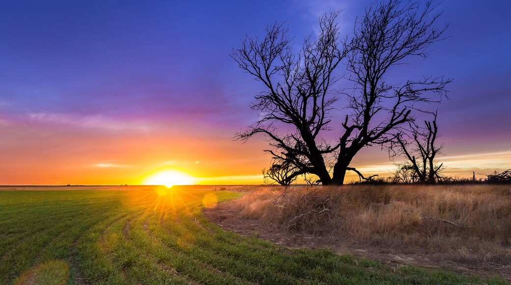 Ellis County, KS USA - A spectacular sunset over Western Kansas