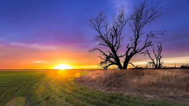 Ellis County, KS USA - A spectacular sunset over Western Kansas