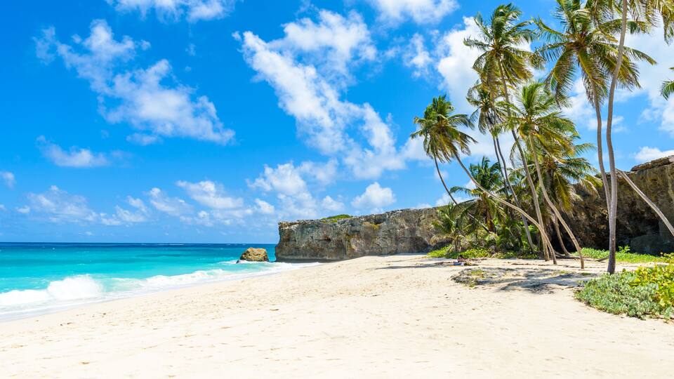 A beach with clear turquoise water, white sand, and palm trees.