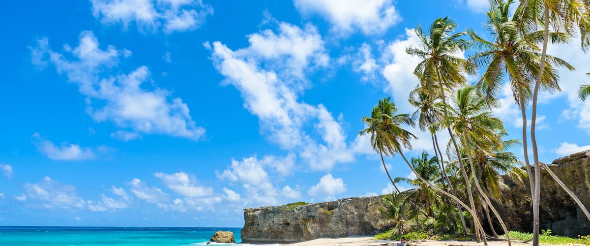 A beach with clear turquoise water, white sand, and palm trees.