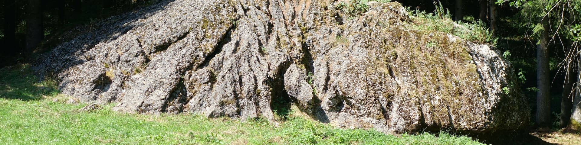 Morauchelstein, a glacial erratic in Kempter Wald.