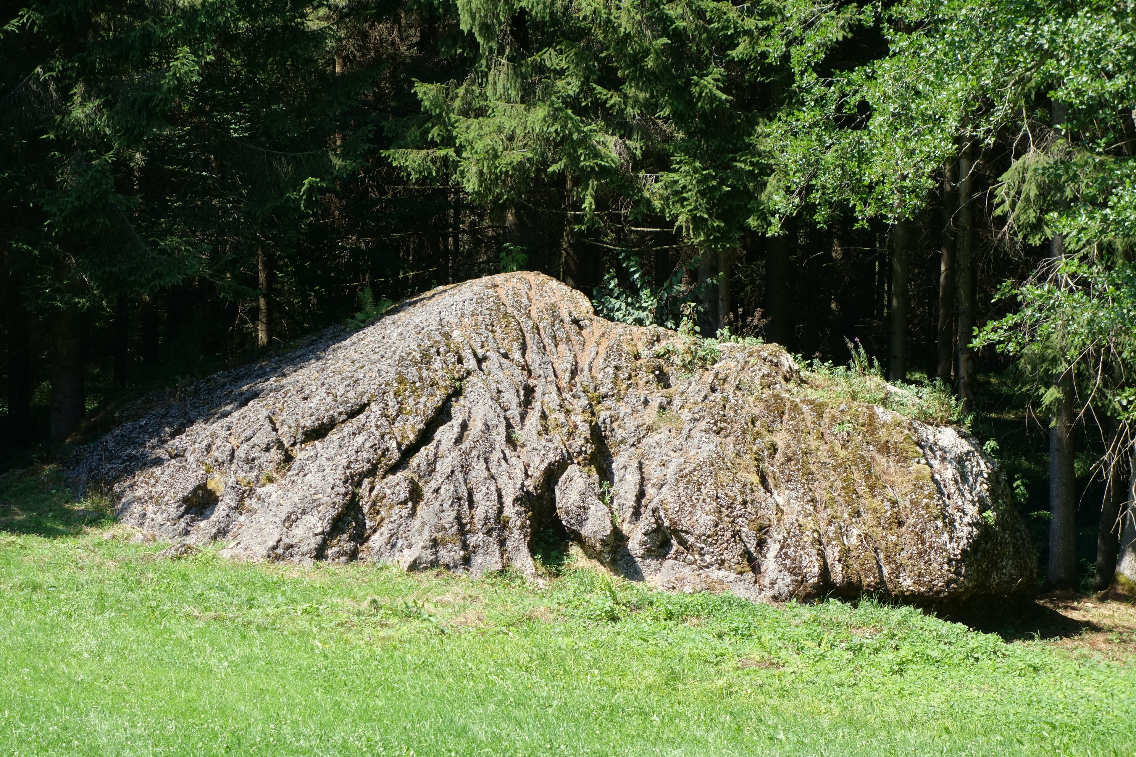 A large rock formation surrounded by dense forest.