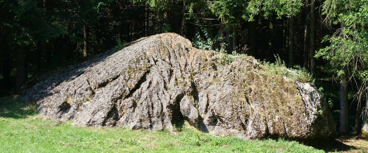 A large rock formation surrounded by dense forest.