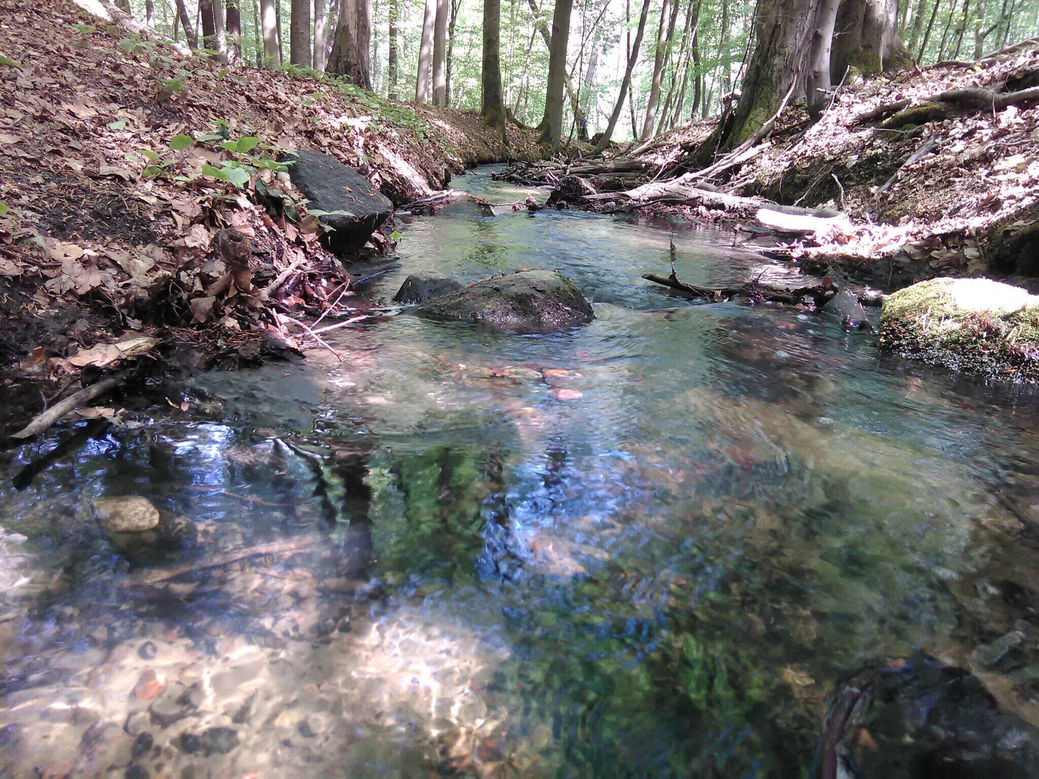 500px provided description: The camera above the water of the little river and "click" [#forest ,#water ,#springtime ,#headwater]