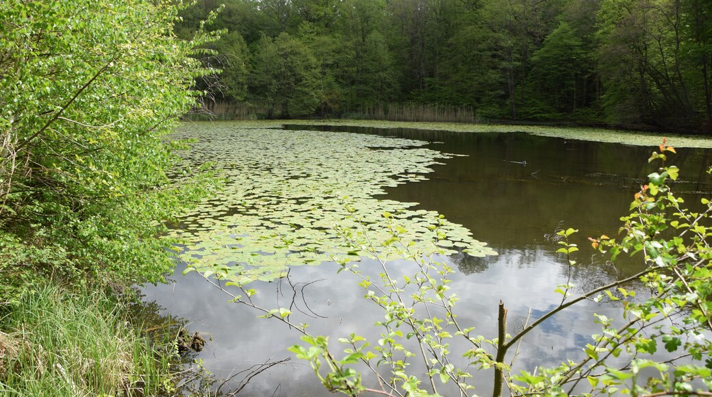 Ernst-Ludwigsteich bei Langen