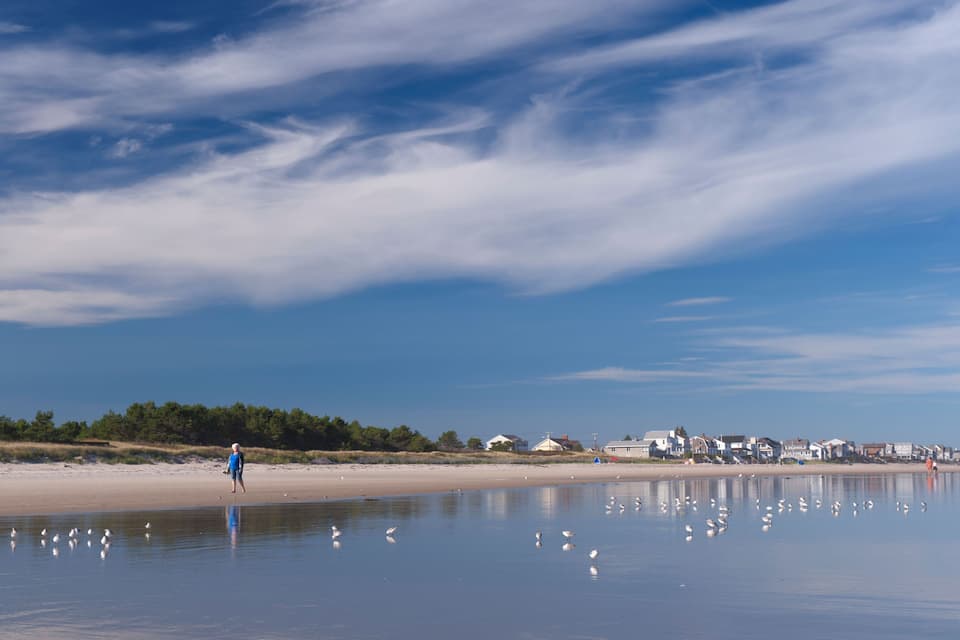 A beach with a person walking, seagulls, and houses in the background.