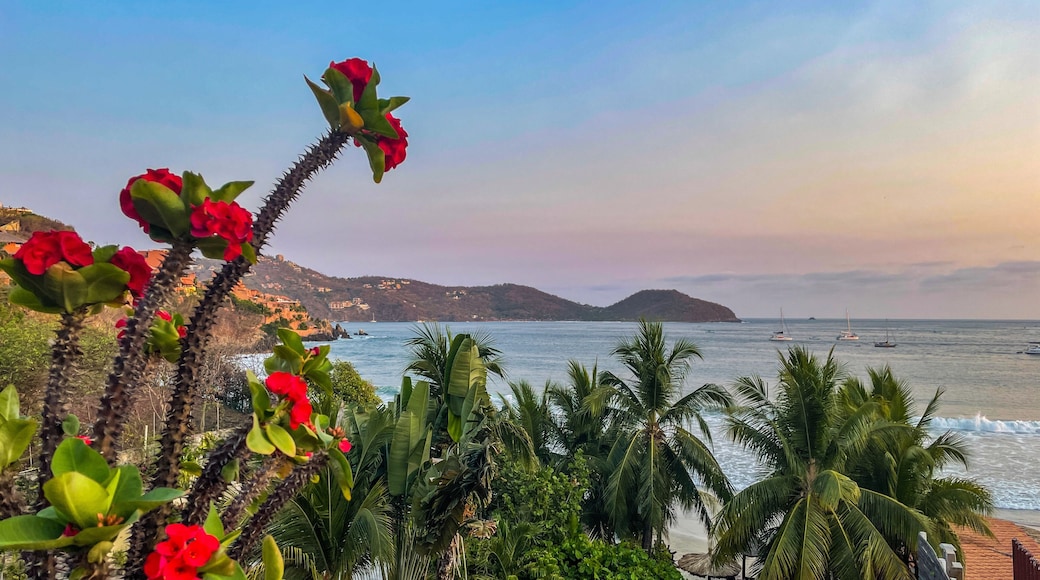 Christusdorn Bucht Zihuatanejo