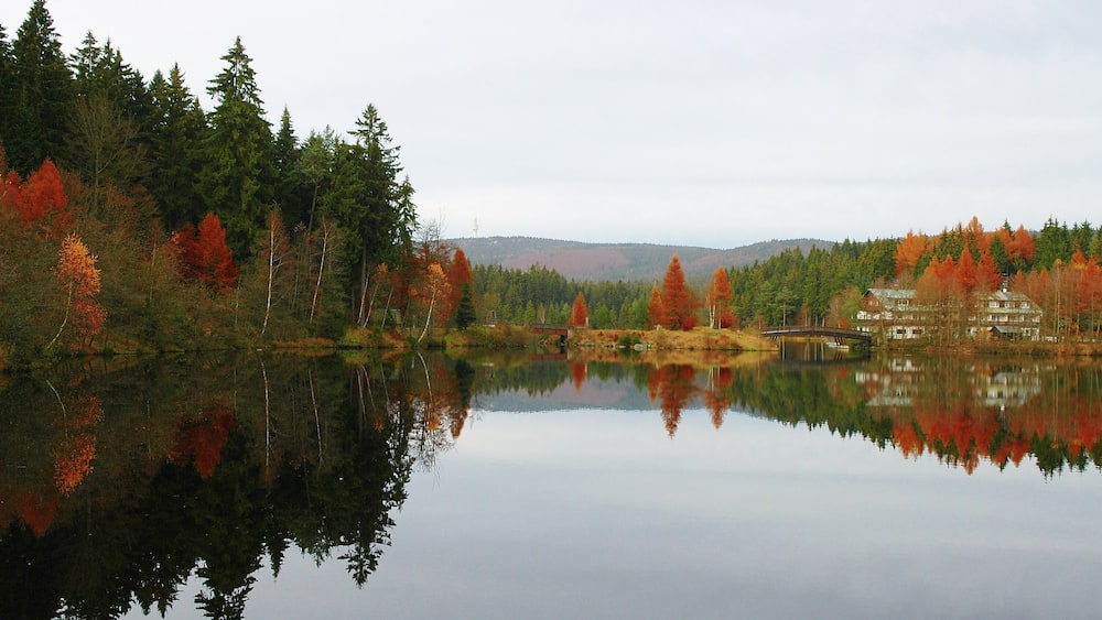 A calm lake with autumn foliage, a wooden bridge, and a house in the background.