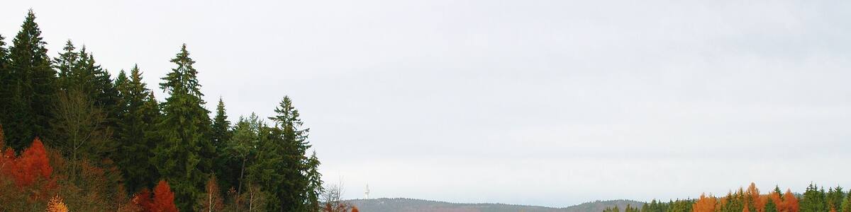 Ein ruhiger See mit Herbstlaub, eine Holzbrücke und ein Haus im Hintergrund.