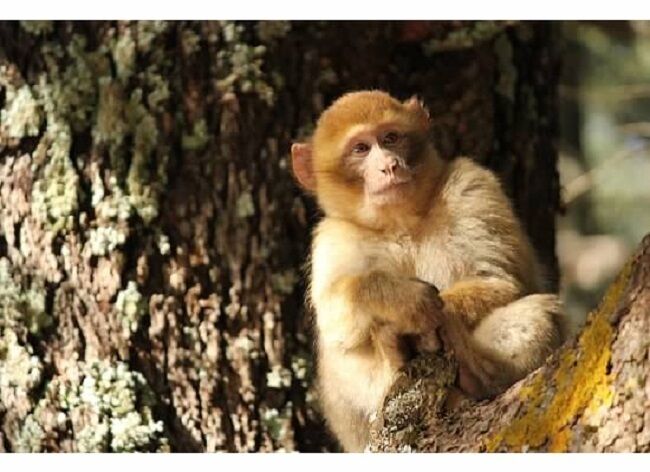 I love the way he's just watching things and relaxing