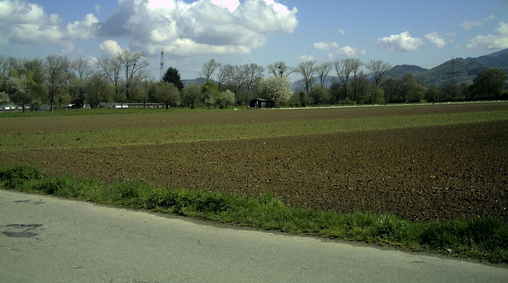 April - Gundelfingten Spring - 2016