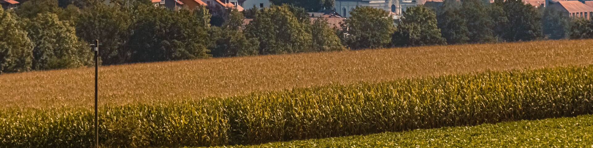 Beautiful summer view with a monastery near Fuerstenzell, Bavaria, Germany