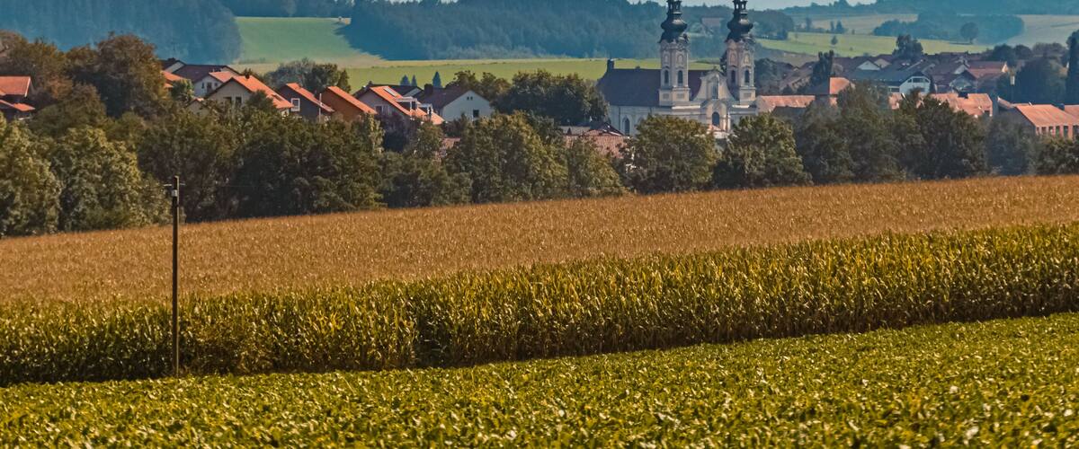 A rural landscape with a church, houses, and fields.