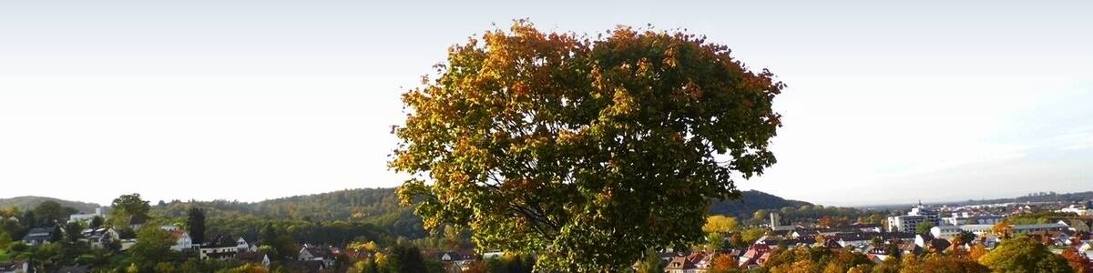 Gaggenau - im Nordschwarzwald