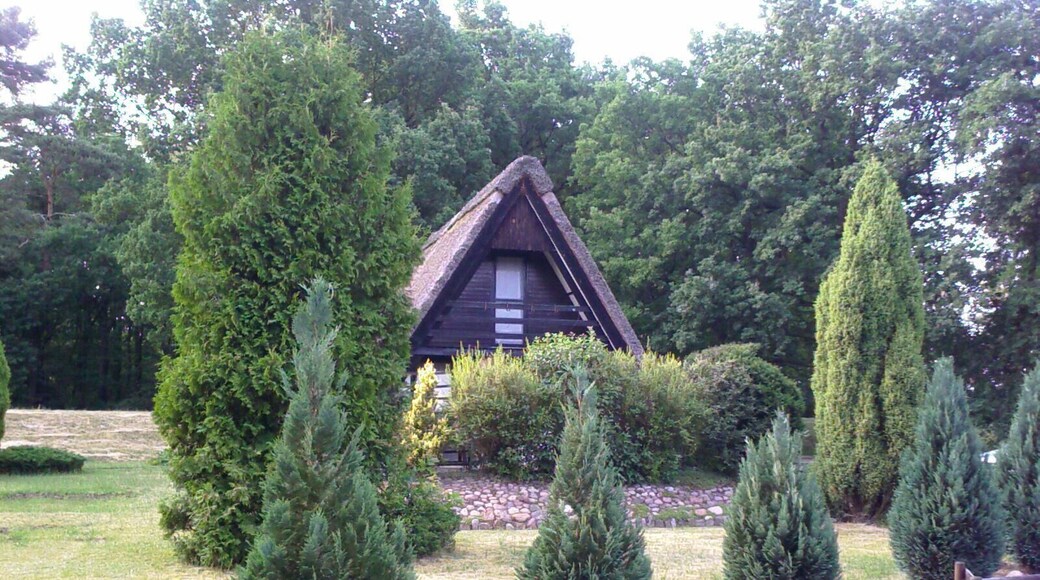 Reetdachhaus - Position 2