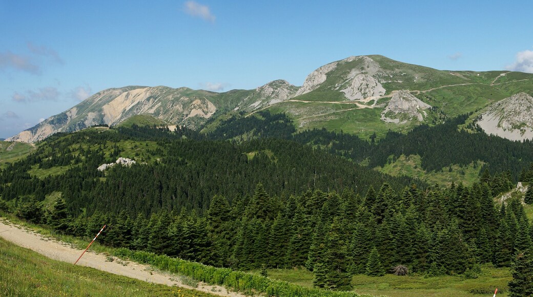 Ilgaz Mountain is in Kastamonu, Turkey.