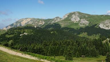 Ilgaz Mountain is in Kastamonu, Turkey.