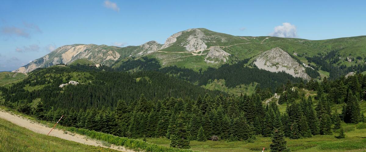 A mountainous landscape with dense forests, a dirt path, and rocky peaks.