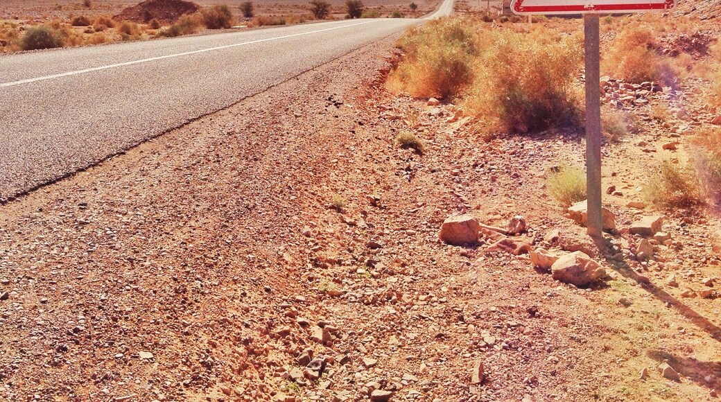 #Merzouga #sahara #desert #camel #morocco #2015