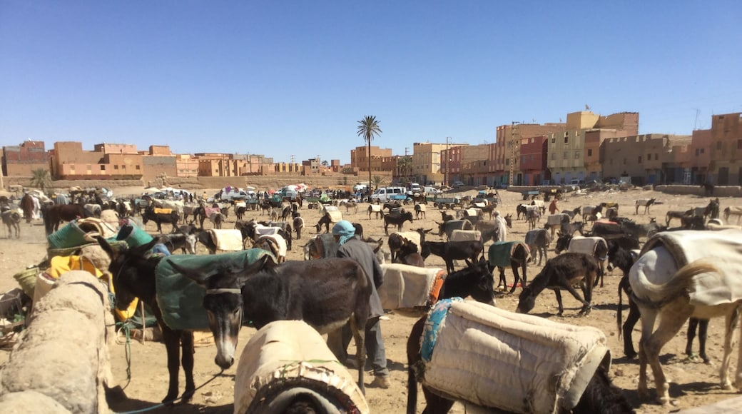 Park your donkey while you shop. Another world!