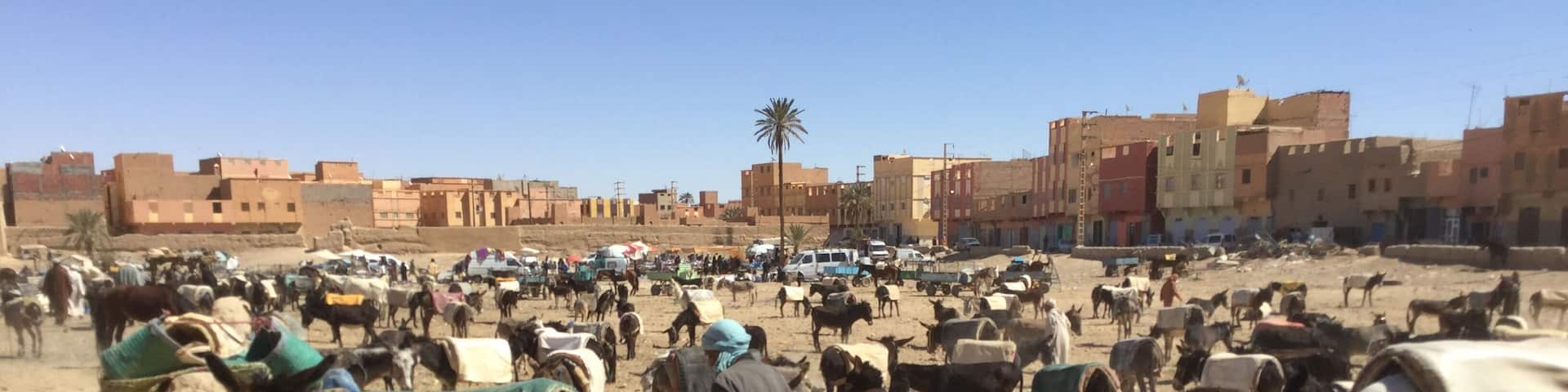 Park your donkey while you shop. Another world!