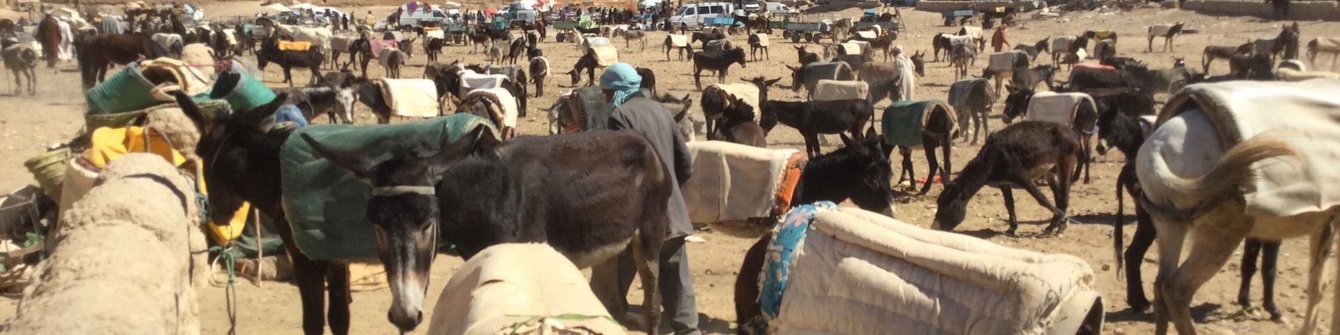 Park your donkey while you shop. Another world!