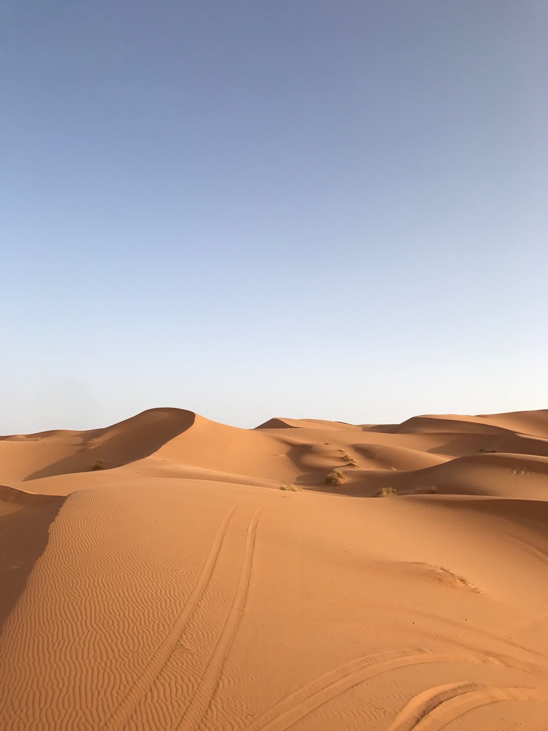 A desert landscape with undulating sand dunes under a clear sky.