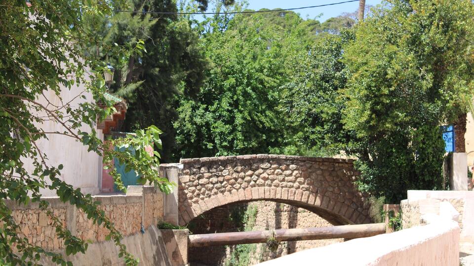 A stone bridge with a stone arch, surrounded by trees and greenery.
