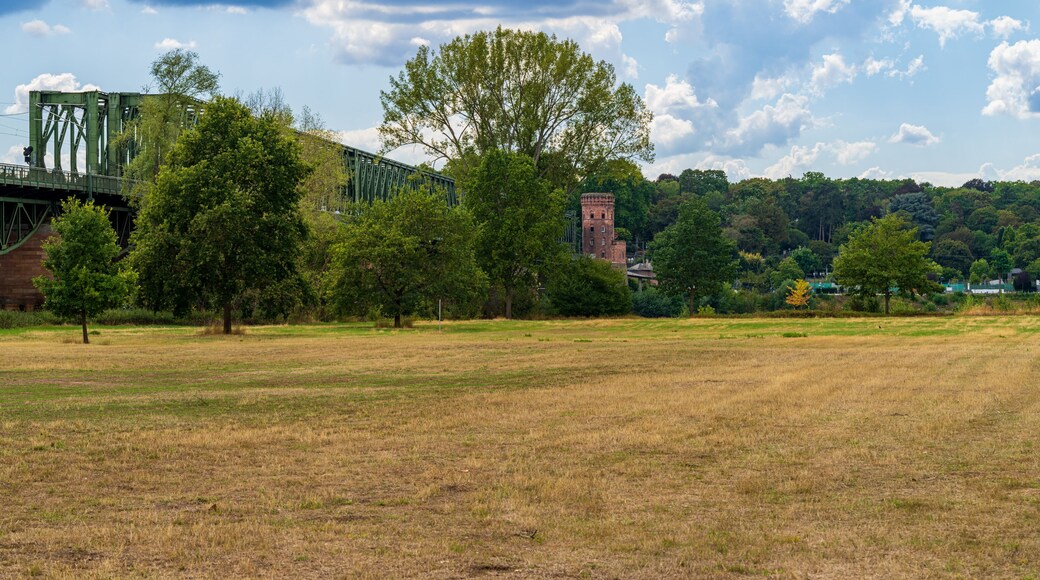 The Southern railway bridge Mainz and the Mainspitze in Ginsheim, Hesse, Germany