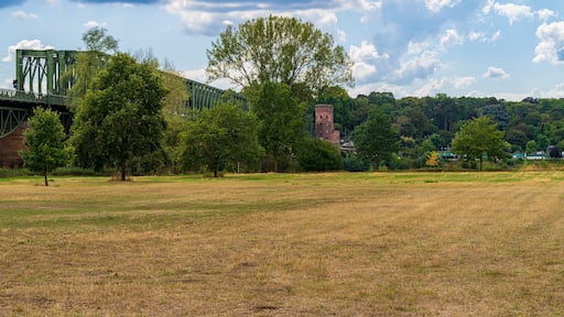 Ginsheim-Gustavsburg