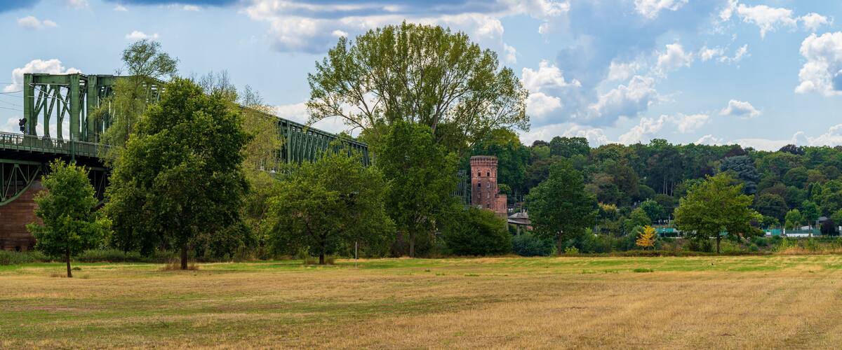 A grassy field with a bridge and a brick tower.