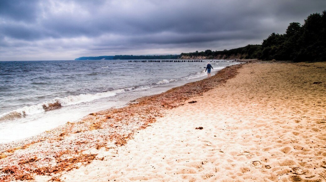Strand beim Königshörn
