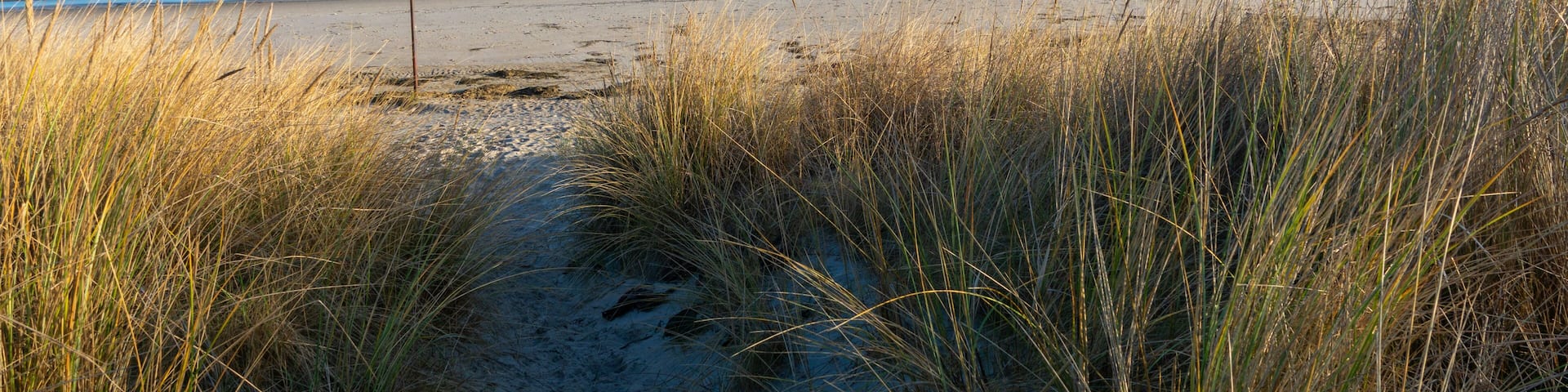 Sandy Path through Dunes to Glowe Beach on Rugen Island