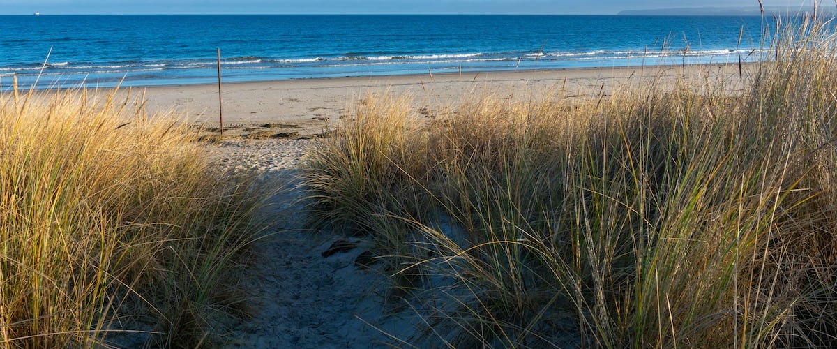 A beach with sand, grass, and the ocean.
