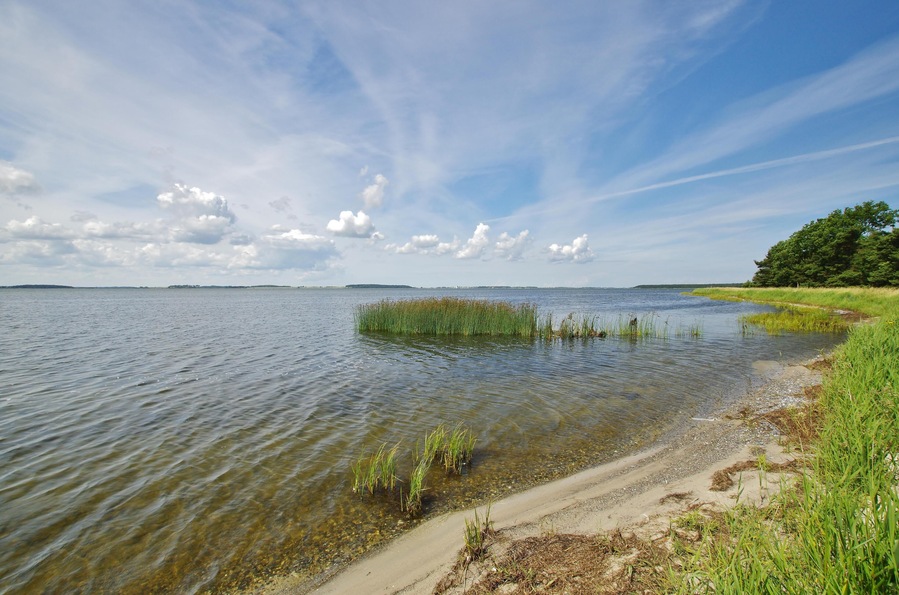 JBWW17 overlooking the great jasmund,glowe,east rugen